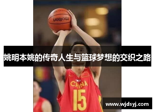 姚明本姚的传奇人生与篮球梦想的交织之路